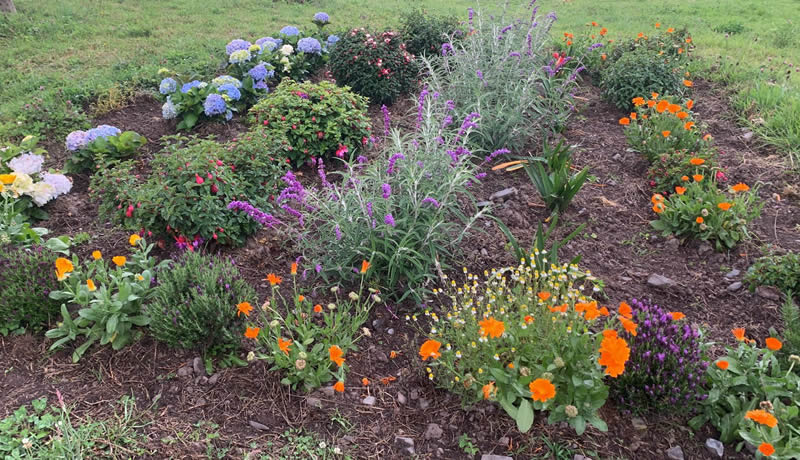 Ecológico y Consciente