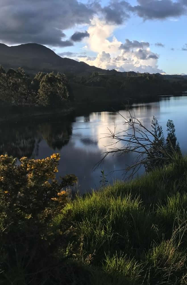 Armonía con la naturaleza