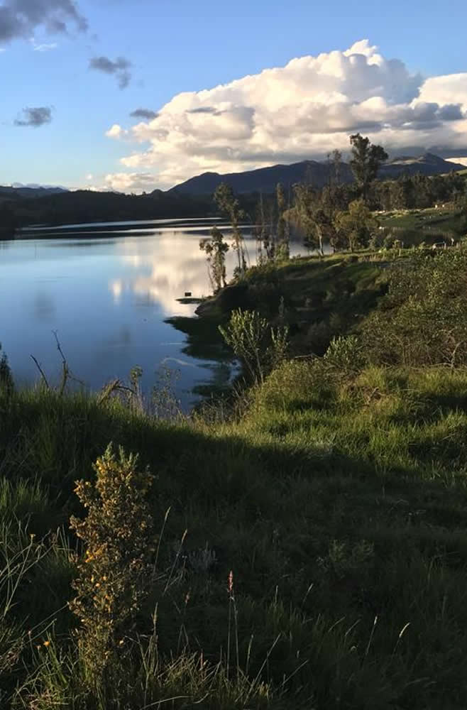 Experiencia de bienestar: