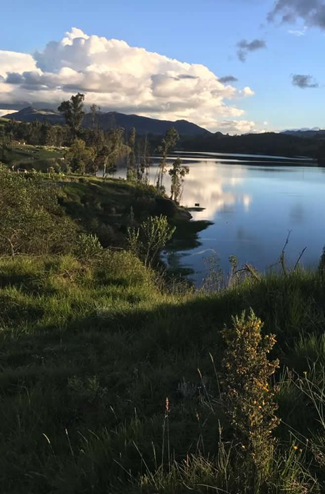 Consiente tu cuerpo y mente