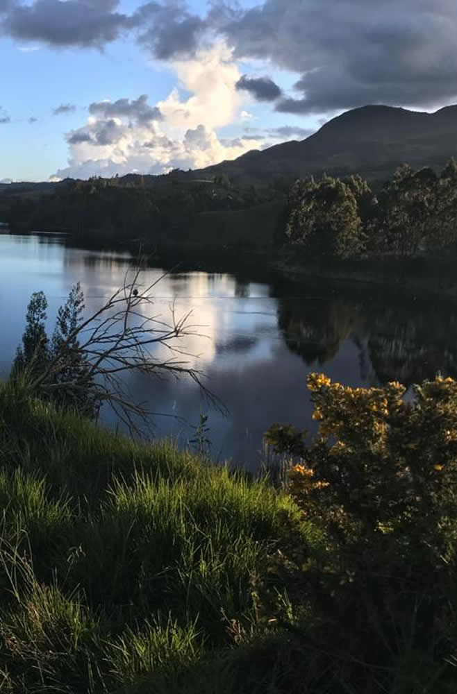 Un compromiso con la sostenibilidad